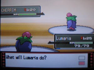 And now, the whole reason I spent like 5 or 6 hours levelling Cherubi up in Eterna Forest...