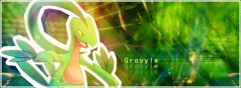 Another Grovyle banner