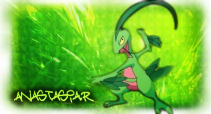 Another Grovyle banner