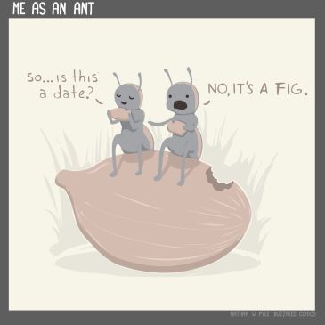 ant