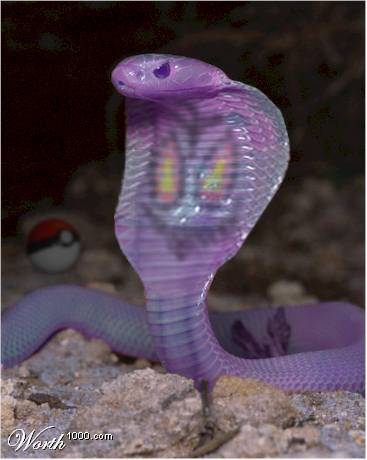 Arbok