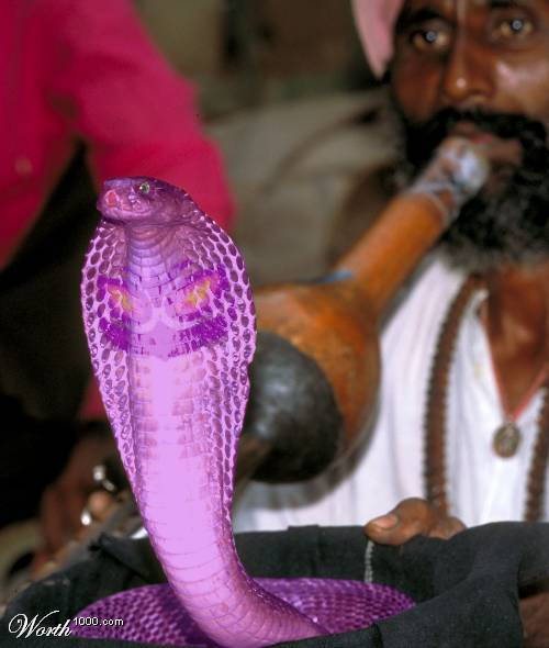 Arbok