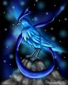 Articuno 1