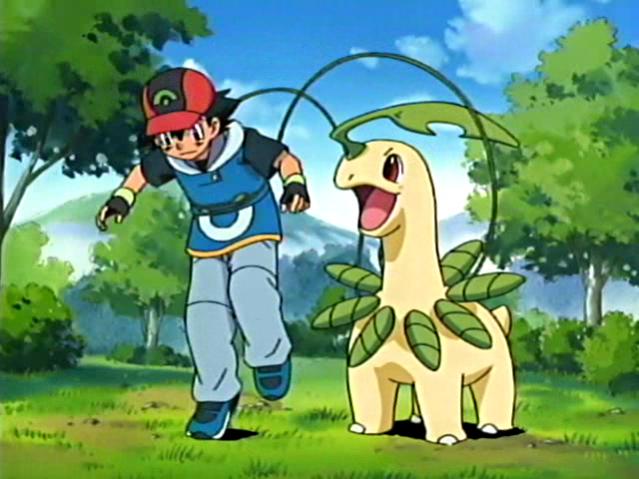 Ash's Bayleef
