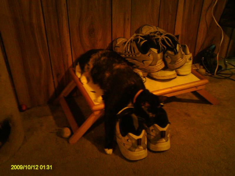 baby with her face in a shoe sleeping