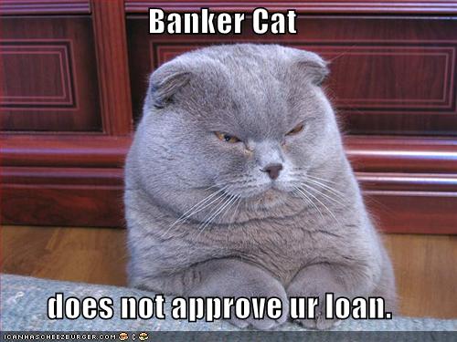 banker cat 
Does not approve ur loan