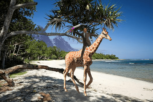Barack Obama on a Giraffe on a beach, in front of some snowy mountains...
I SHOULD NOT BE DOING SCIENCE