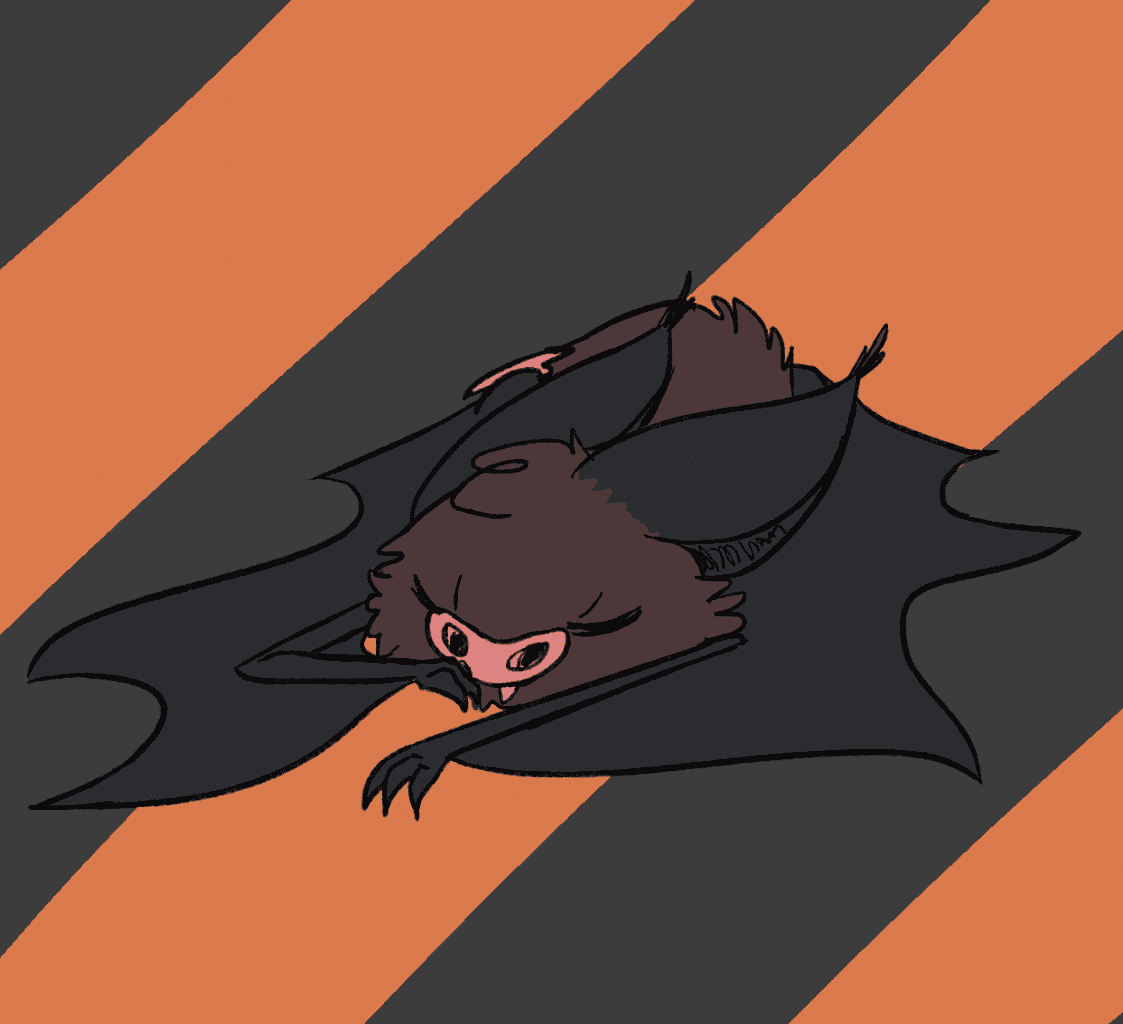Bat 7