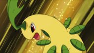 Bayleef