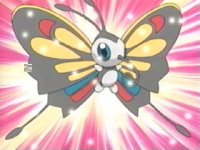 Beautifly