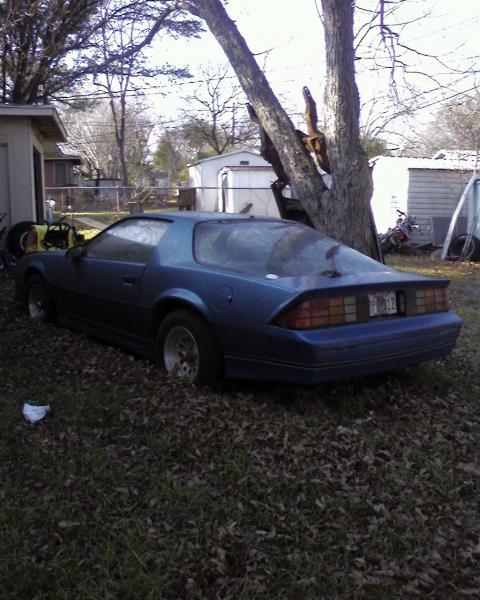 Before I saved it from certain death. (back)