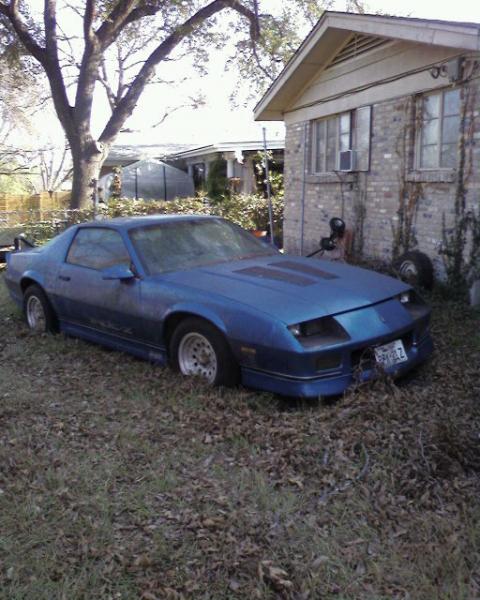 Before I saved it from certain death. (front)