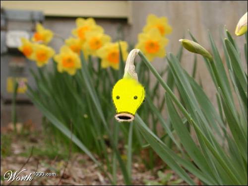 Bellsprout