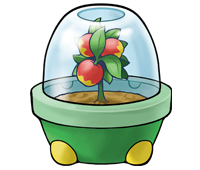 Berry Planter