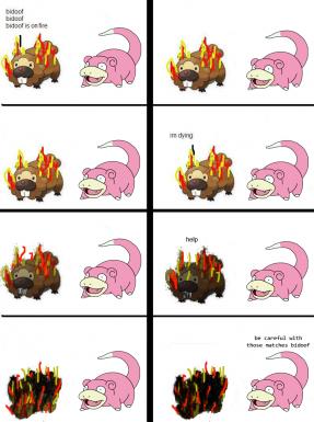bidoofisonfire