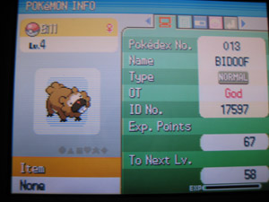 Bill the Bidoof II.

In Diamond, I don't even remember why, but Morkula was getting a Pokémon from me. I told him to catch the next Bidoof he found an