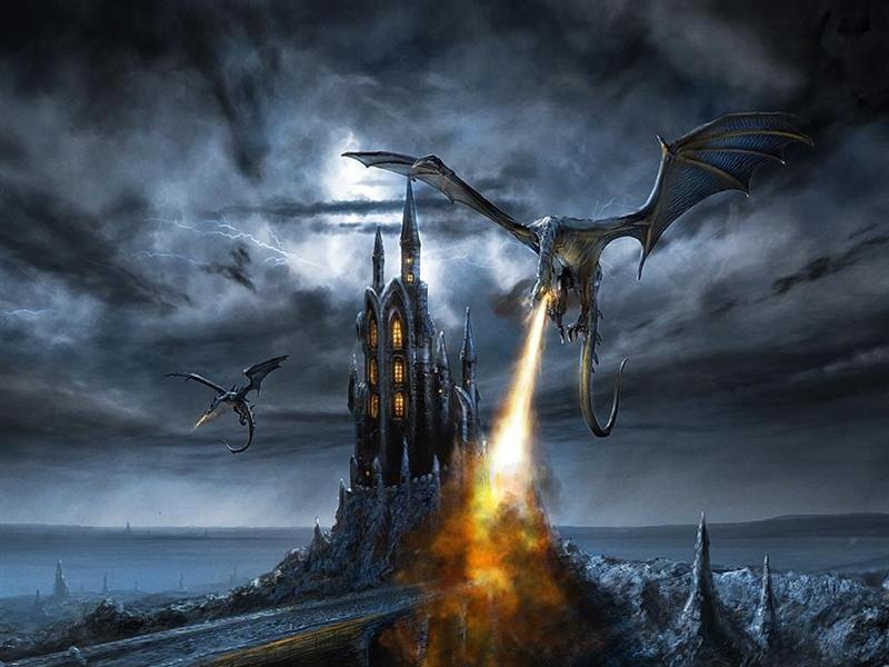 Black castle dragon guardians