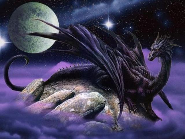 Black Dragon 41