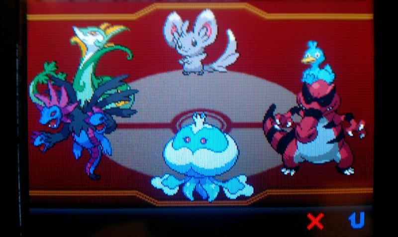 Black Re-run Team:
Serperior
Hydreigon
Jellicent
Krrokodile

Helper:
Ducklett

*Minccino was a random add to make the team look fuller.*