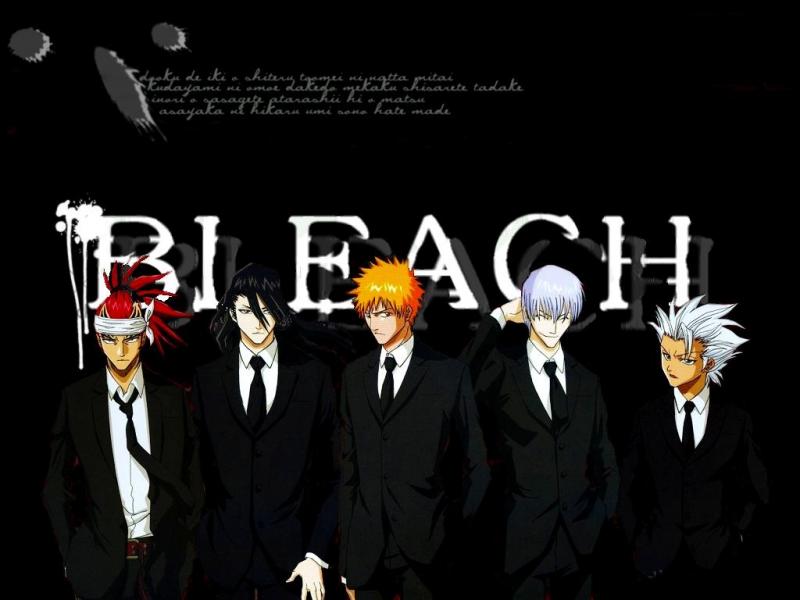 Bleach Guys