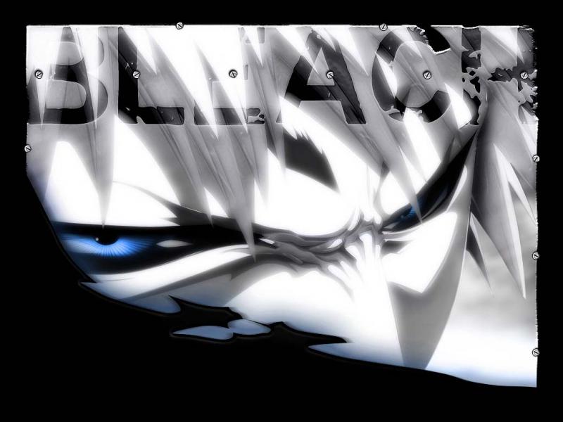 bleach metallic[1]