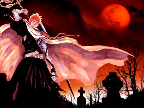 bleach22 2[1]