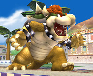 bowser 070703d