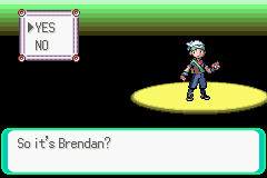 Brendan - Emerald