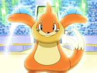 Buizel