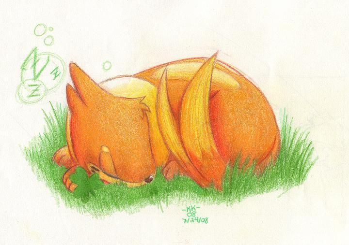 Buizel