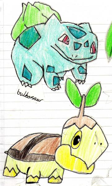 bulbasaur and turtwig