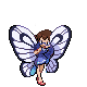 Butterfree Kid