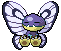 Butterlax