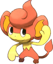C -Baoppu