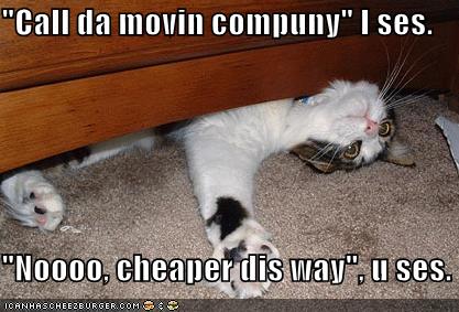 "call da' movin' company" I ses
"Nooooo, cheaper dis way" u ses