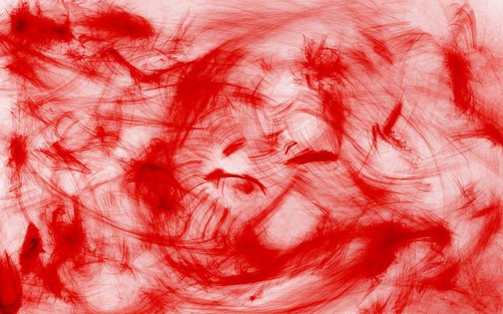 Cat scratches