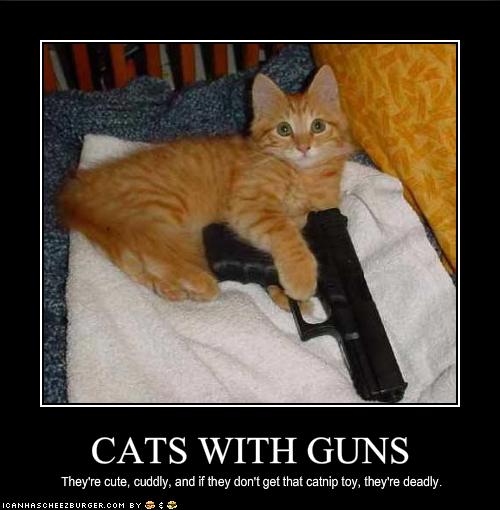 cats with guns