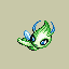 Celebi