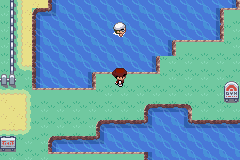 CERULEAN CITY