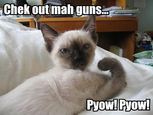 check out my guns
