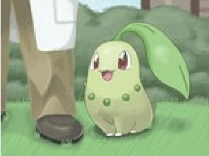 Chikorita for starter