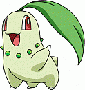Chikorita ROX