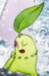 chikorita