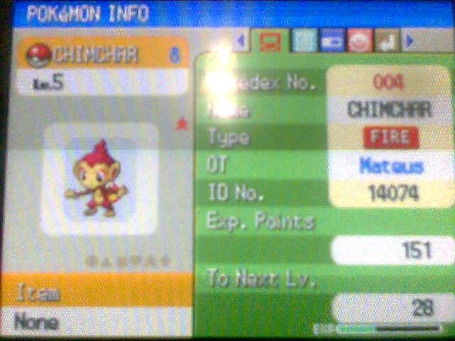 Chimchar