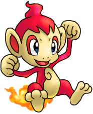 chimchar
