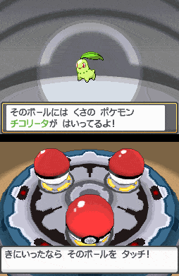 choosing your starter