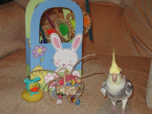 Cody's First Easter

April 12, 2008

Cody got an easter basket! He already pulled out two new toys!