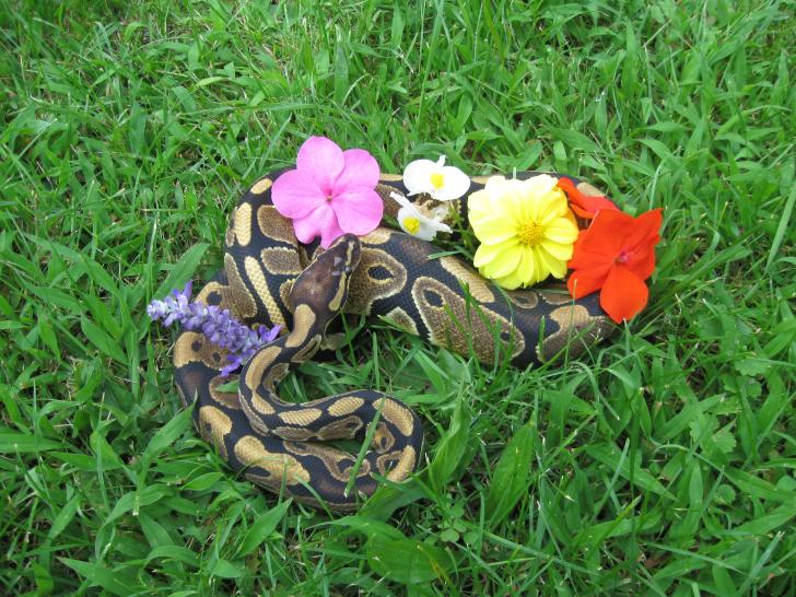 Colby looking very pretty with the flowers