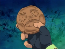 cookie and detailed hand owow