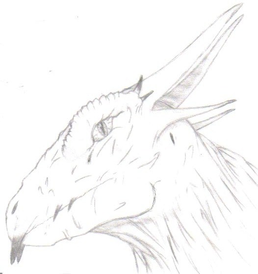 Crosell an ancient dragon over 600 years old.
This is really an awsome dragon, an marquis.
This Character appears in the game, Star Ocean: till the en